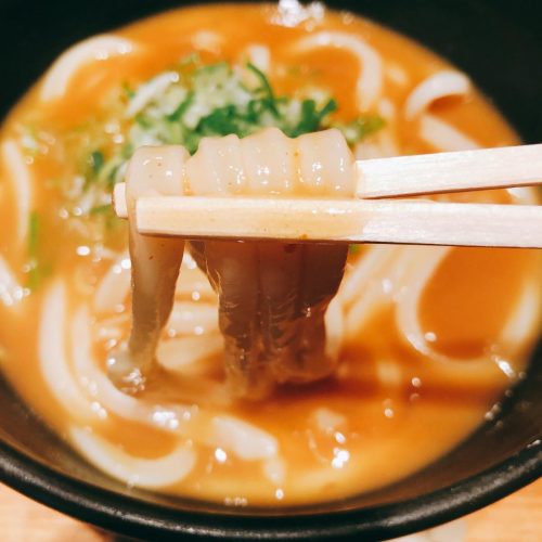 山半_カレーうどん