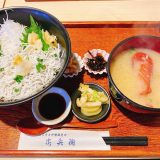 江ノ島でしらすが食べたかったけど禁漁期間だった「しらすと伊勢海老の忠兵衛」 4 忠兵衛_しらす丼