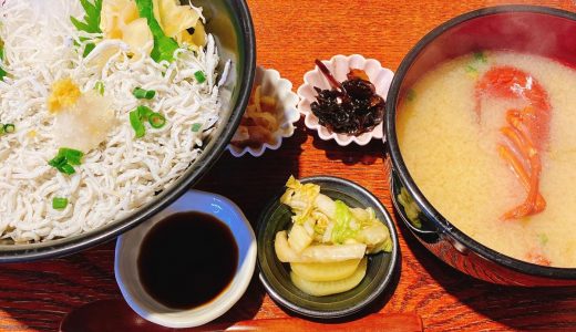 江ノ島でしらすが食べたかったけど禁漁期間だった「しらすと伊勢海老の忠兵衛」