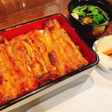 四ツ木に至高の鰻あり!行く価値ありの驚きの美味しさ「うなぎ 魚政」 8 魚政_うな重