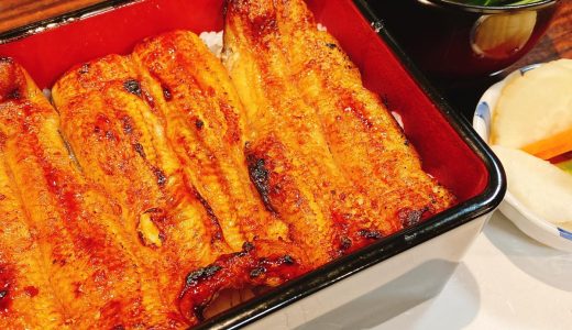 四ツ木に至高の鰻あり!行く価値ありの驚きの美味しさ「うなぎ 魚政」