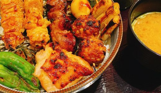 Yakitori “Kokorikoan” at Metro Hat, Roppongi