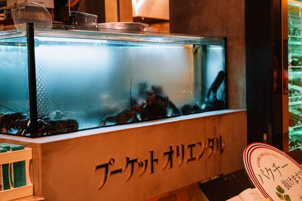 ミッドタウン日比谷、良い雰囲気のタイ料理「PhuketOriental」 7