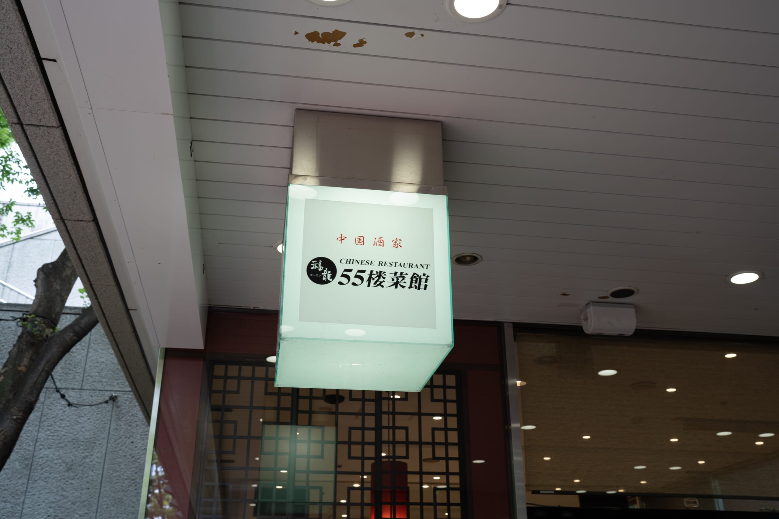 変わってしまった新宿西口、思い出のかた焼きそば「55楼菜館」 12