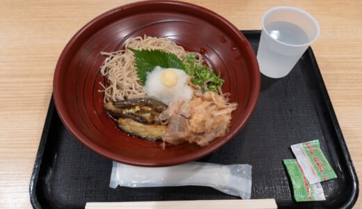 出発前羽田空港「ANAFESTA」でおろし蕎麦