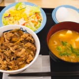 たまにはこんな日も羽村の「松屋」 2