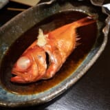 熱海で一番古い宿?「古屋旅館」 4