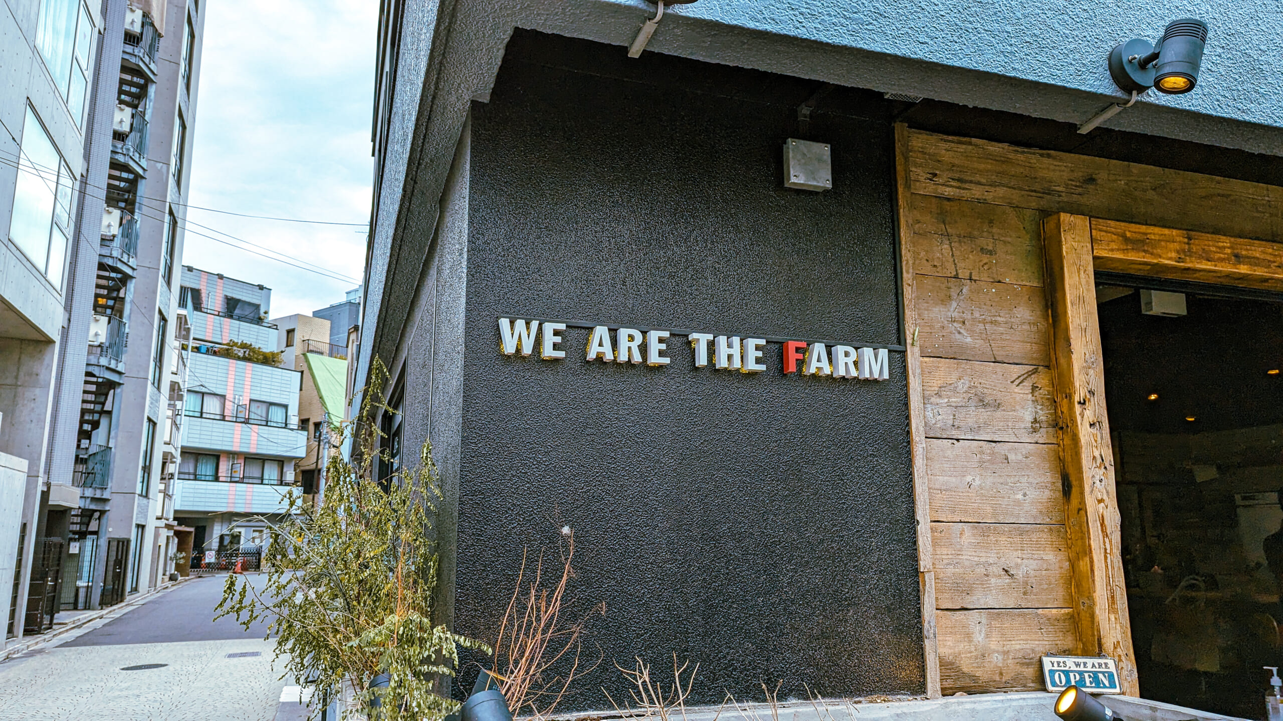 麻布十番「WE ARE THE FARM」、健康志向かとおもったら結構ボリューミーで最高だった 6