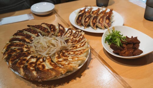絶対食べたい！浜松の有名「石松餃子」で餃子三昧