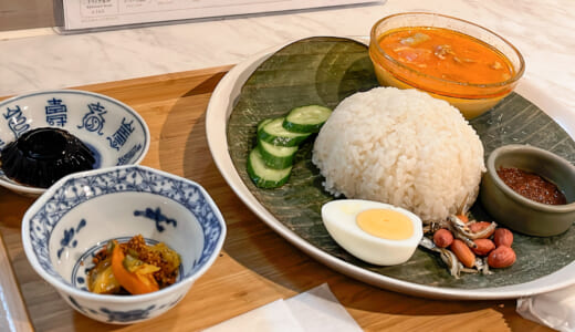 市ヶ谷「マサ マサ」で美味しいマレーシア料理！ナシレマッを堪能