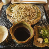 天ぷらの香りに誘われて「玄蕎麦 野中」 - 中村橋の旨い蕎麦 2