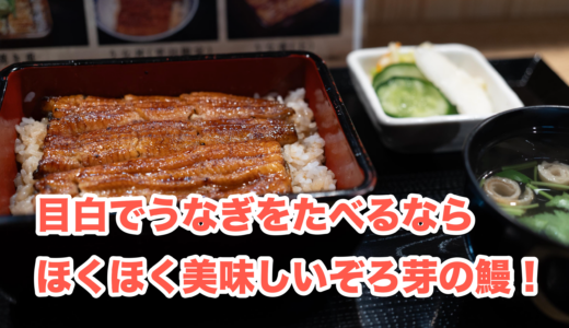 共水にすればよかったけど共水じゃなくてもおいしかった。目白「ぞろ芽」での絶品うな重