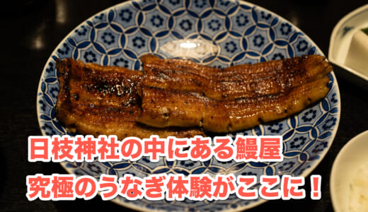 静寂の中で味わう赤坂「山の茶屋」の絶品うなぎランチ