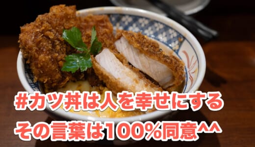 赤坂新星！「#カツ丼は人を幸せにする」のとじないカツ丼