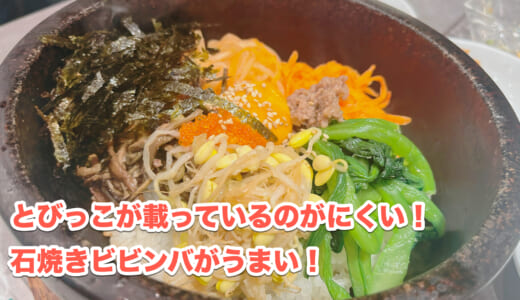 もしかして韓国料理ならなんでもあるんじゃないのw？赤坂「カンガンスルレ」のハイコスパランチ