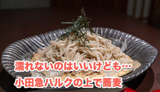 雨の新宿で「新宿 なだ万賓館 萬助」の上品な天ぷらと蕎麦ランチ