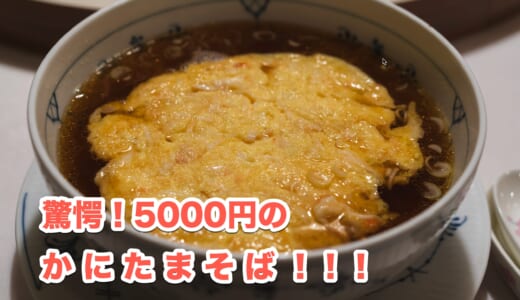 頂点をめざせそうな至高の天津皇麺を頂く「登龍 麻布店」
