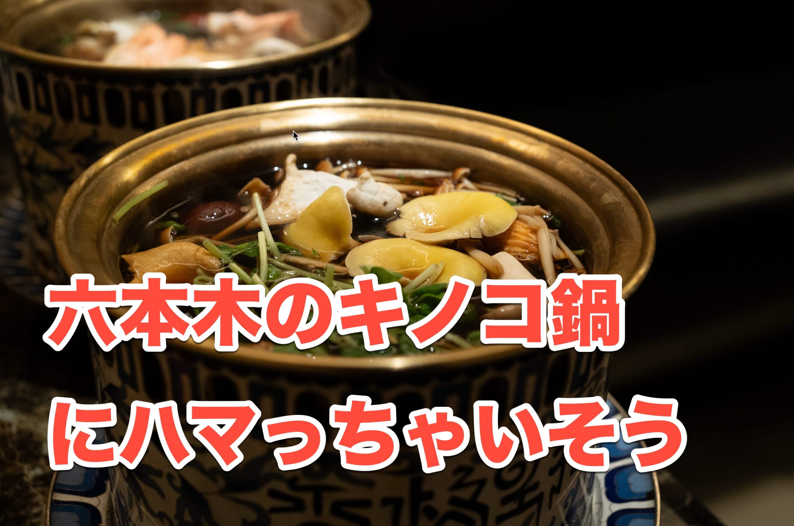 10年越しの来店！六本木「シャングリラズシークレット」 | 二日酔い飯