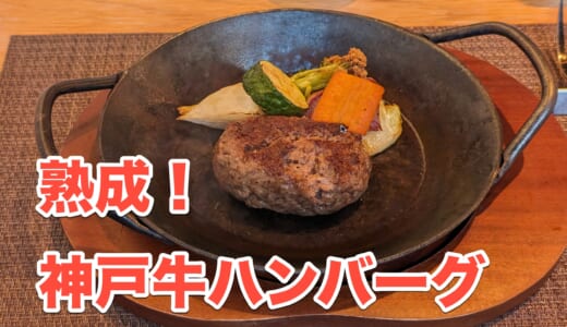 熟成肉を食べに茗荷谷へ「中勢以 小石川店」の神戸ビーフハンバーグランチ