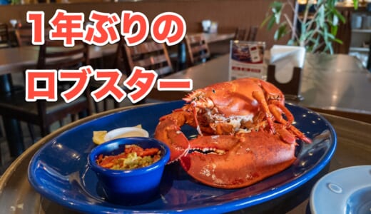 【コスパ検証】レッドロブスターのロブスターは2万円の価値があるのか？徹底レビュー