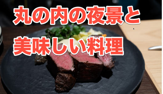 【夜景を愉しむ】丸の内、TOKIA「レゾナンス」で絶品料理とワインを堪能！記念日デートにもおすすめ