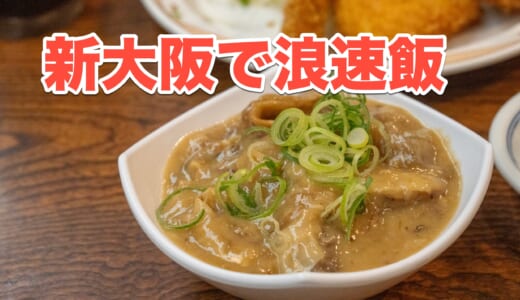 【新大阪駅】昼飲みOK！大阪名物どて焼き＆豚平焼きでサクッと大阪旅気分♪