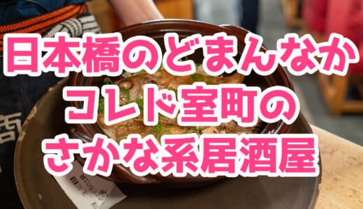 【日本橋】安い飲み放題付きコースがオススメ！アクセス抜群！「日本橋 墨之栄」で漁港直送の魚介を楽しむ