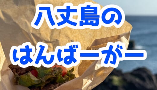 肉厚ジューシー！八丈島「SEA SIDE KITCHEN WA」のパティパティ！