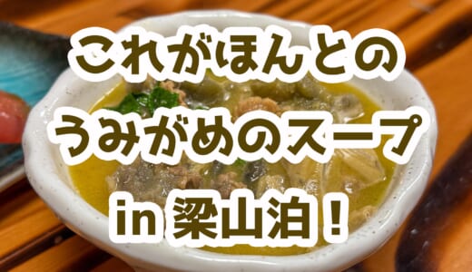 八丈島グルメの決定版！予約必須の「梁山泊」で島料理を堪能！
