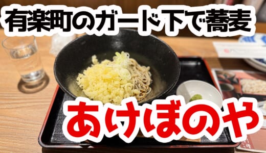 【日比谷】ガード下の十割蕎麦！二日酔いランチにはちょうどよい