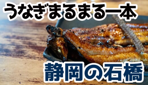 衝撃！丸ごと一本焼き「石橋うなぎ」実食レポ in 静岡