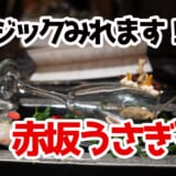マジックと美食が織りなす、赤坂うさぎやの非日常体験 2