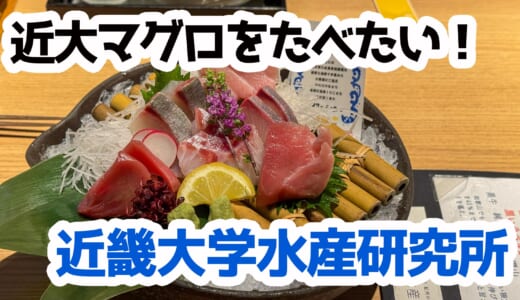 近大マグロ、銀座で実食！養殖魚の実力を確かめてみた