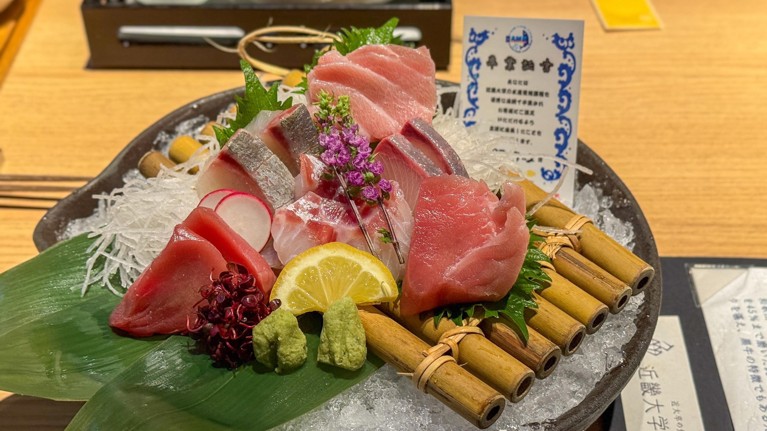 近大マグロ、銀座で実食!養殖魚の実力を確かめてみた 9
