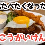 広尾の名店『笄軒』で夢の洋食プレート!ハンバーグ×エビフライ×オムライスが豪華競演 2