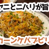 酸味の効いた絶品旨辛の二ハリは必食！飲み放題コースで大満足なカレー屋