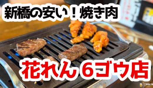 新橋でコスパ抜群！花れん6号店で楽しむ絶品ホルモンと激安ビール酒場