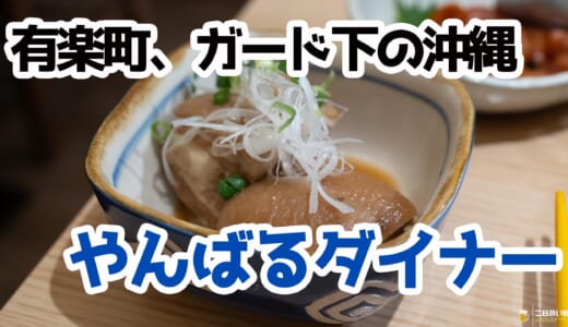 有楽町駅1分！沖縄気分に浸れるやんばるダイナーでオリオンビールと海ぶどう