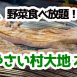 赤坂で発見！野菜もお肉も食べ放題＋飲み放題6,000円『やさい村 大地』レポ