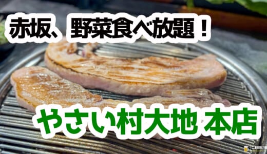 赤坂で発見！野菜もお肉も食べ放題＋飲み放題6,000円『やさい村 大地』レポ