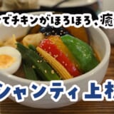 野菜モリモリで罪悪感ゼロ?シャンティの激辛スープカレーたべてみた 2