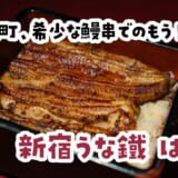 歌舞伎町で鰻串爆食い→〆は至福のうな重【予約必須⁉】