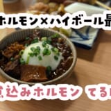 トロ旨ホルモンに温玉オン！新橋『てるぼーず』ええやん
