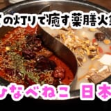 築70年古民家で味わう“本場以上”の薬膳火鍋「ひなべねこ」
