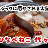 滋味深さが爆発する薬膳火鍋！隠れ家・代々木「ひなべねこ」