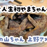 これ未体験は損。幻の手羽先デビューで世界の山ちゃんの凄さを知った