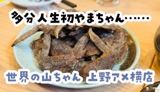 これ未体験は損。幻の手羽先デビューで世界の山ちゃんの凄さを知った