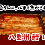 東京駅すぐの路地裏で、鰻をつまみに飲むしあわせ|八重洲 鰻 はし本 8