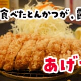とんかつをおつまみに焼酎ソーダを飲む夜があっていい。神楽坂『あげづき』