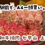 雨宿りのつもりが貸切焼肉、しかもお通しなし。上板橋「七甲山」
